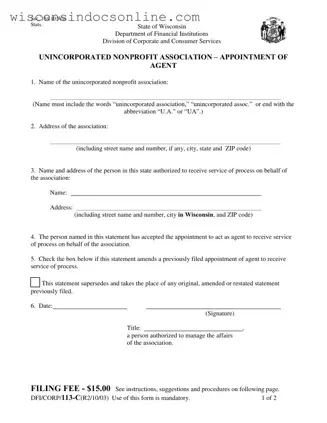 Blank Wisconsin Dfi Corp 113 C Form