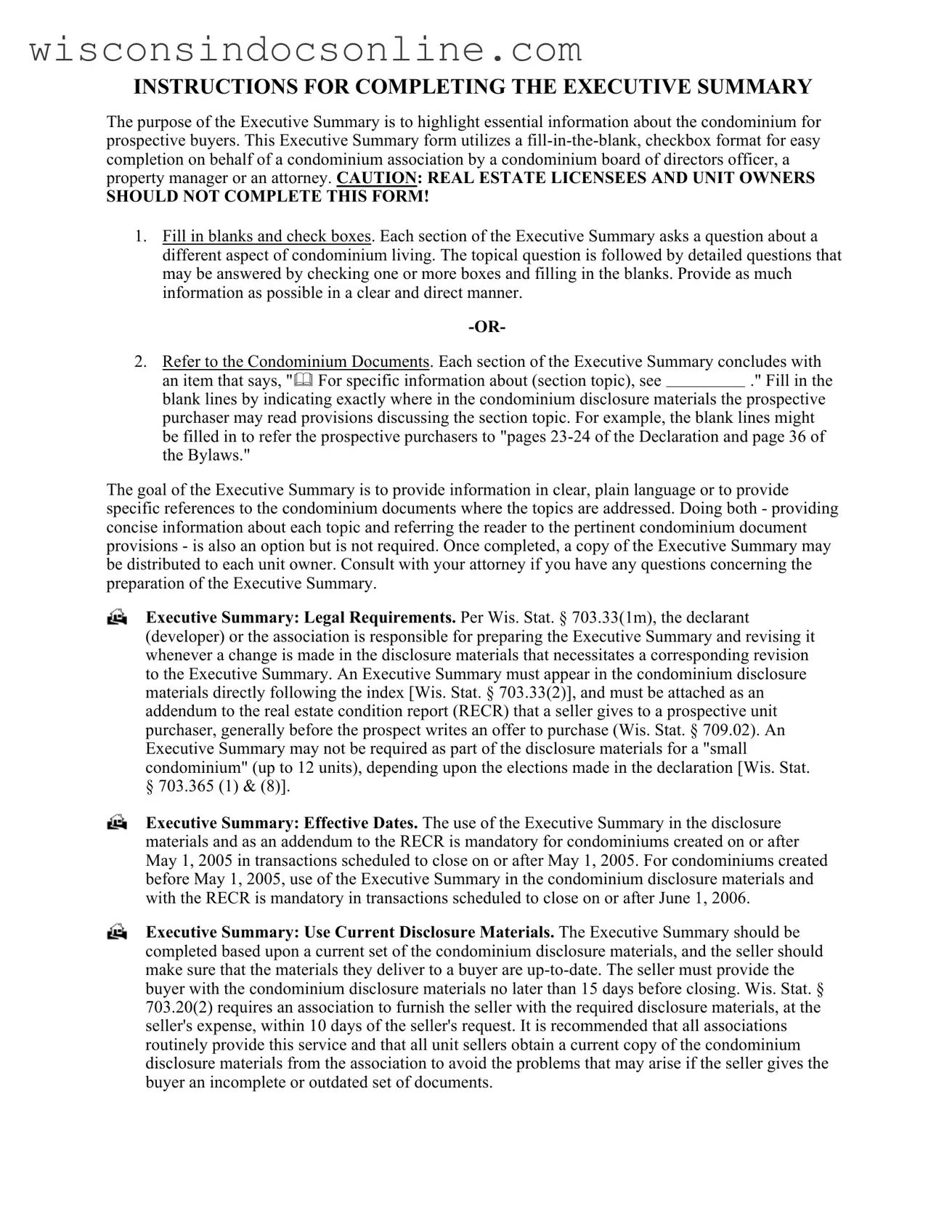 Blank Wisconsin Executive Summary Form